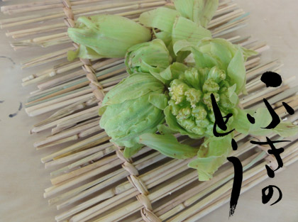 tofu6.jpg
